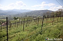 VBS_7445 - PressTour educational dedicato ai vini del Pinerolese e all’olio prodotto sulla collina di Pinerolo